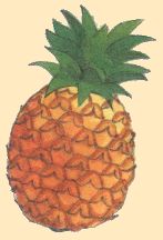 Ananas