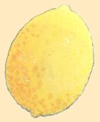 Citron