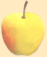 Pomme
