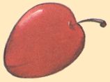 Prune