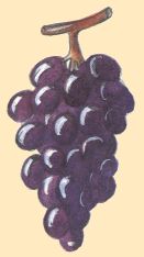 Raisins