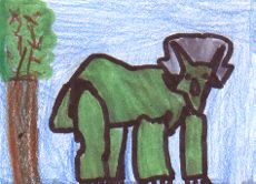 Le b�b� tric�ratops